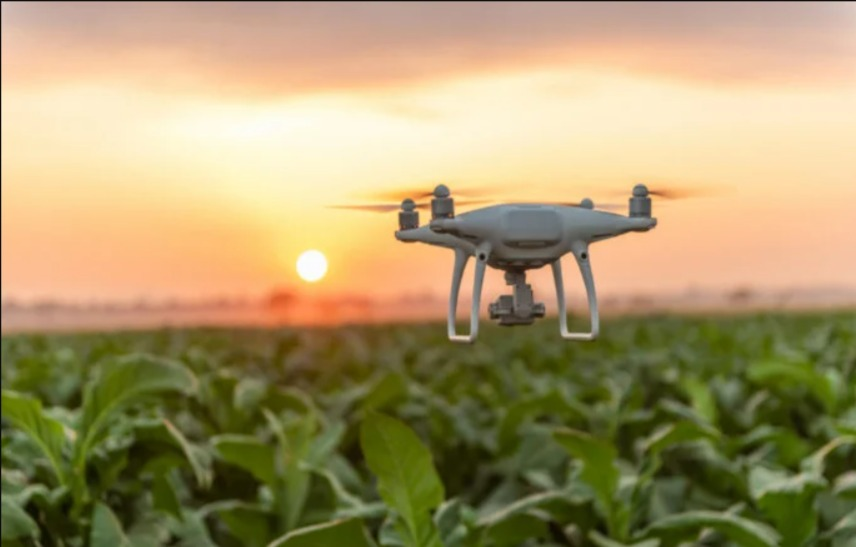 Αναδάσωση στα Γεράνεια Όρη με σπορά από drone